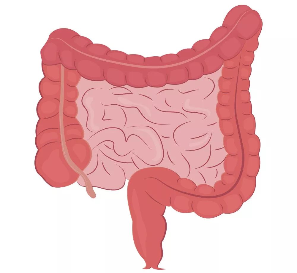 1.炎症性疾病导致原发性腹膜炎，常见的有继发性和原发性腹膜炎、急性阑尾炎、急性胆囊(管)炎、急性胰腺炎等。.jpeg