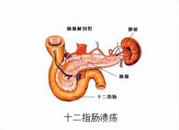 食疗方法治疗胃肠功能紊乱