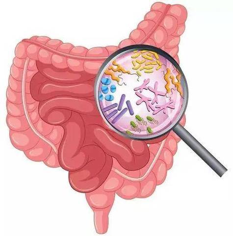 轻微胃痛的食疗缓解方法